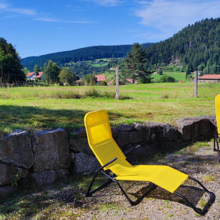 La Terrasse des Vosges Calme et vue sublime - Appartement 3 Chambres - 2