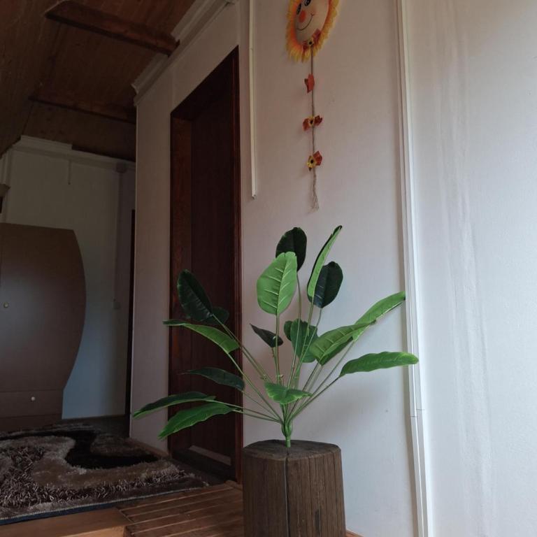 Žabljak izdavanje kuce - Three-Bedroom House - 43