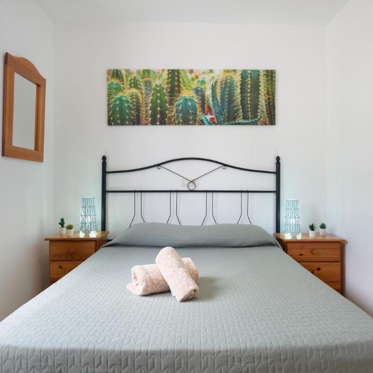 Bella Vista - Cactus - Apartamento de 1 dormitorio - 13