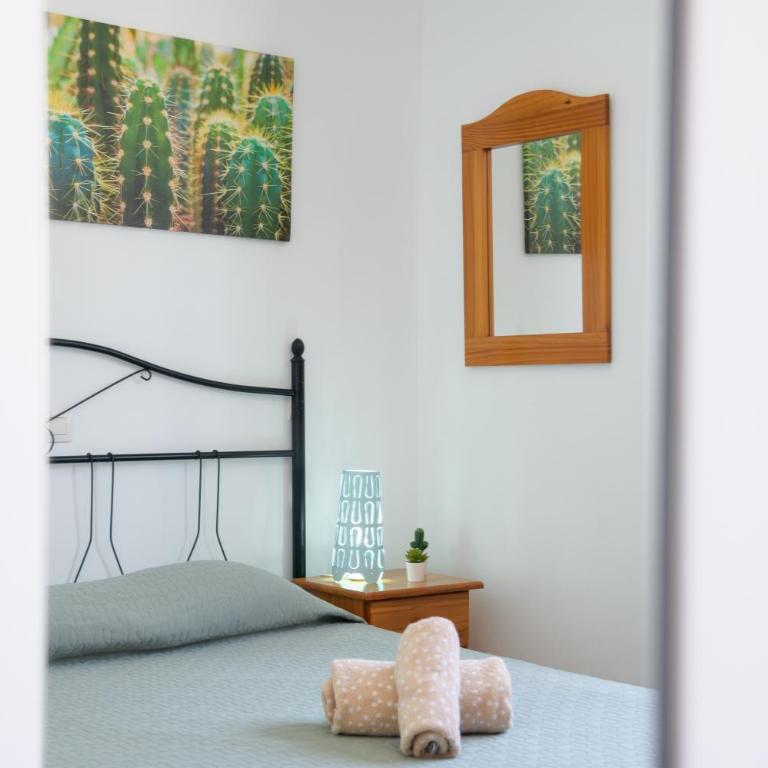 Bella Vista - Cactus - Apartamento de 1 dormitorio - 12