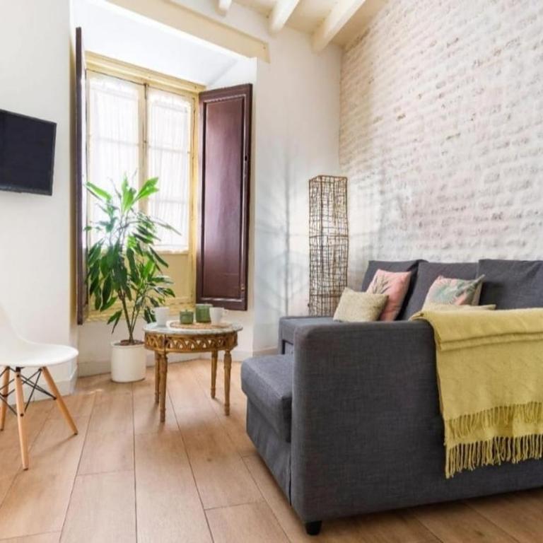 Bajo Gerona - Apartamento Dúplex - 12