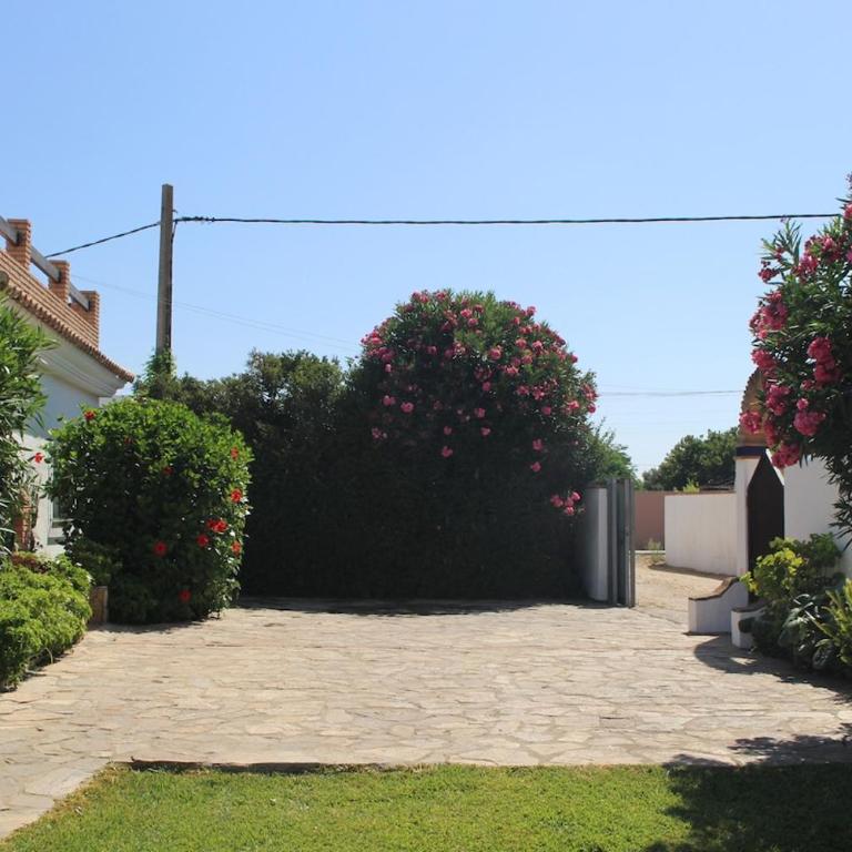 Chalet con piscina privada en Conil - Casa de 4 dormitorios - 20