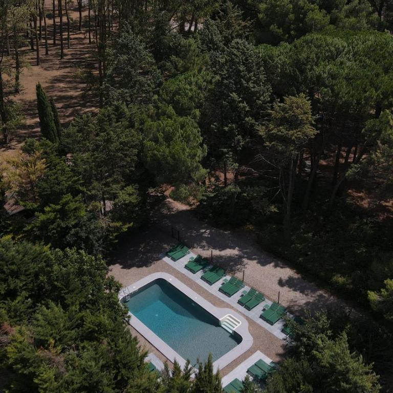 Domaine de la JASSO, Demeure de grand luxe au pied de la Cité de Carcassonne, piscines et parc animalier - Ferienhaus - 58