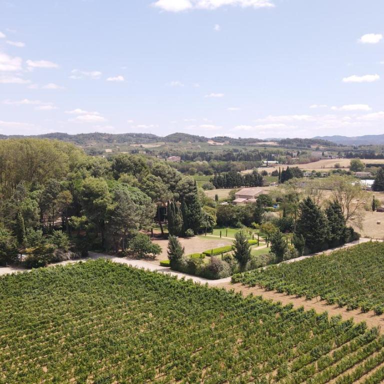 Domaine de la JASSO, Demeure de grand luxe au pied de la Cité de Carcassonne, piscines et parc animalier - Ferienhaus - 14