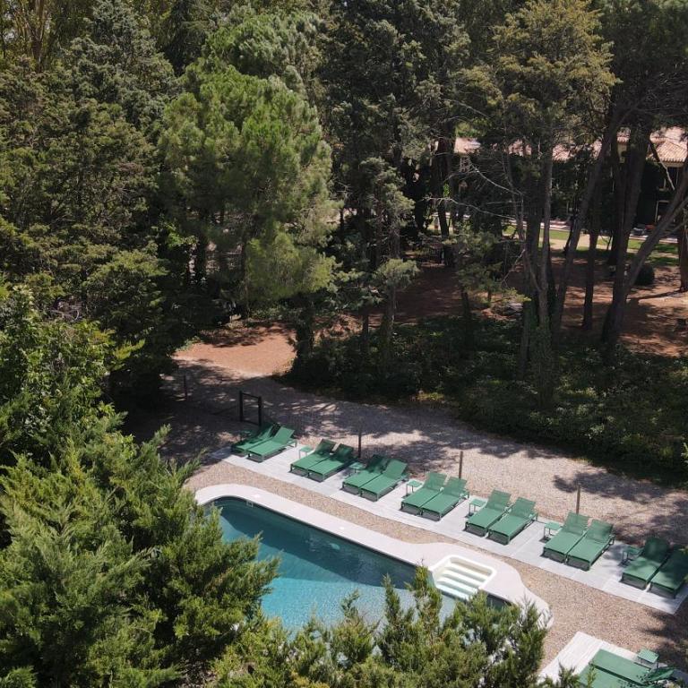 Domaine de la JASSO, Demeure de grand luxe au pied de la Cité de Carcassonne, piscines et parc animalier - Ferienhaus - 10
