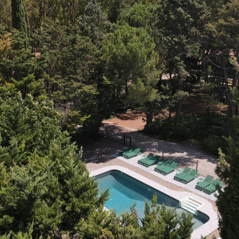 Domaine de la JASSO, Demeure de grand luxe au pied de la Cité de Carcassonne, piscines et parc animalier - Ferienhaus - 62