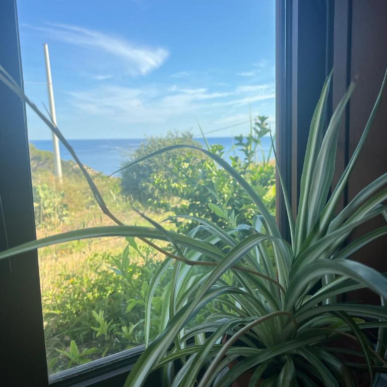 Vista mare - Haus mit 2 Schlafzimmern - 12