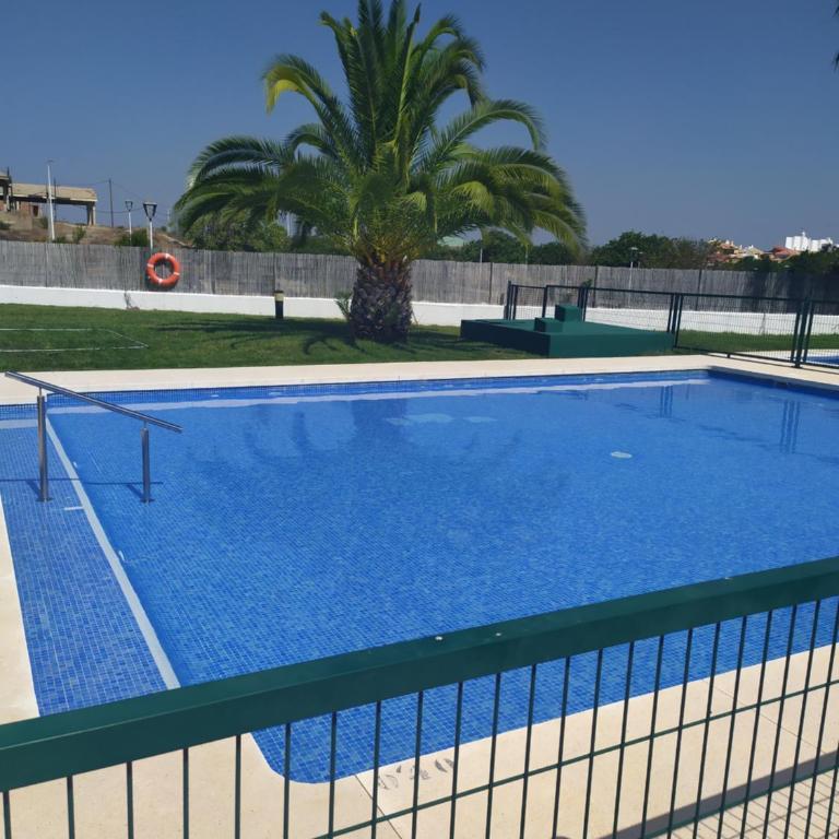 residencial sea & sun - Apartamento de 2 dormitorios con vistas al jardín - 13