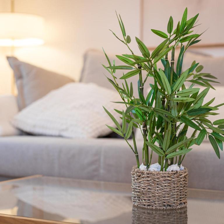 Home2Book Serene Stylish Stay in Corralejo Pool - Apartamento de 1 dormitorio - 11