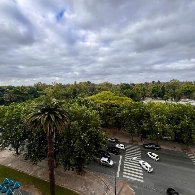 Amplio Departamento frente al Bosque - Apartamento de 2 dormitorios - 7