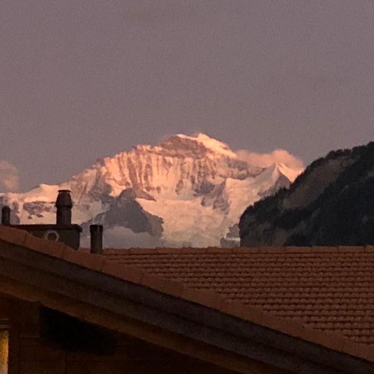 S&P Mountain View Apartment 1 - Apartment mit 1 Schlafzimmer - 26