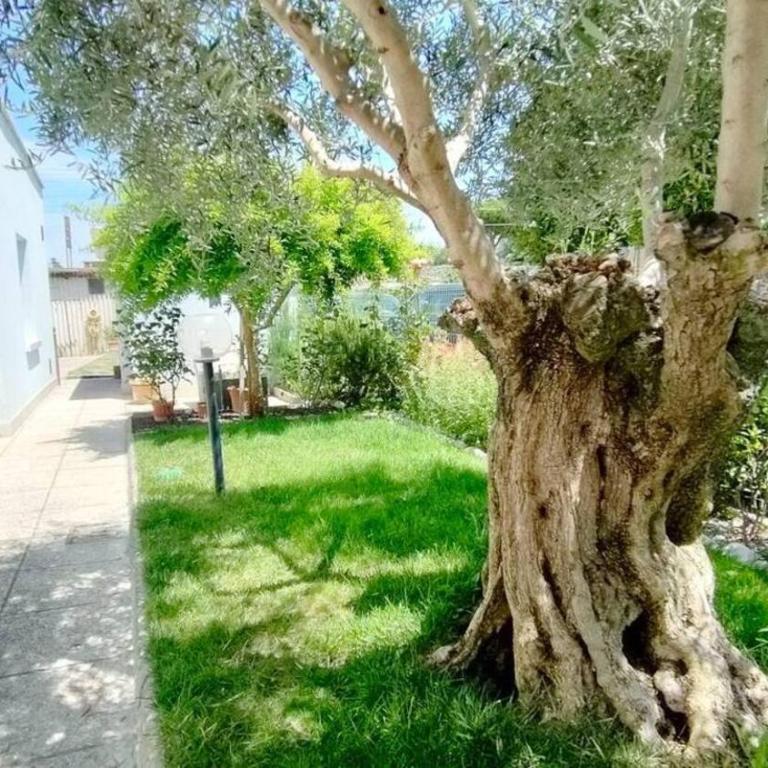 Casa Lety by Affitti Brevi Rimini - Appartamento - 11