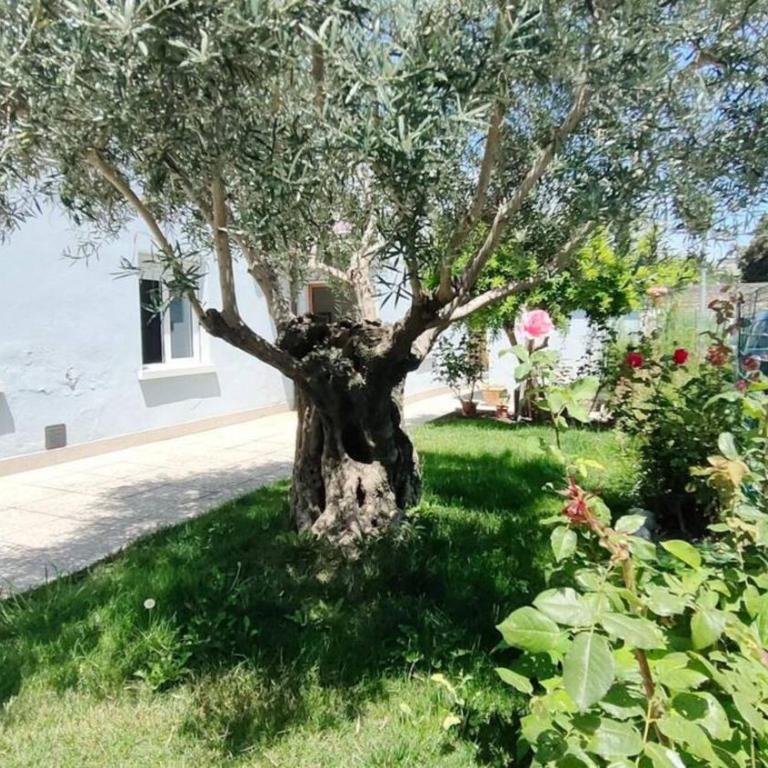 Casa Lety by Affitti Brevi Rimini - Appartamento - 2