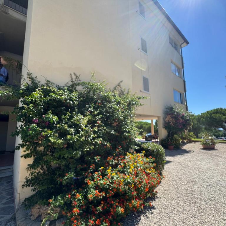 Blanco_loft708 - Appartamento con 1 Camera da Letto - 63