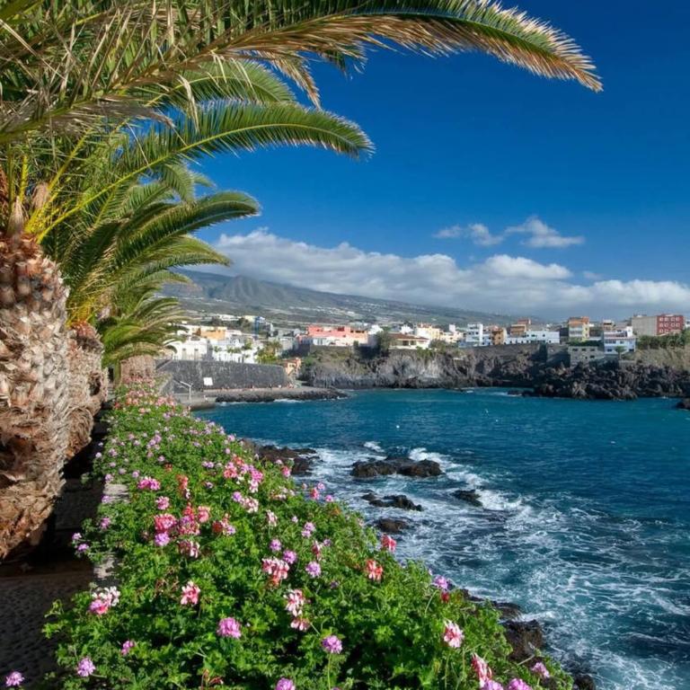 Beatifull apartament Sea View in pto Cruz - Apartamento de 2 dormitorios - 63