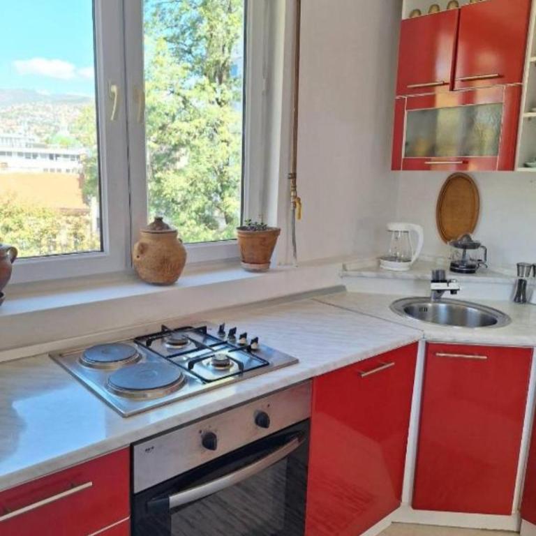 Apartman Ersa Sarajevo - One-Bedroom Apartment - 2