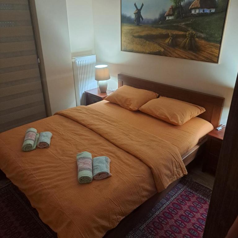 Apartman Banja Koviljaca I - One-Bedroom Apartment - 7