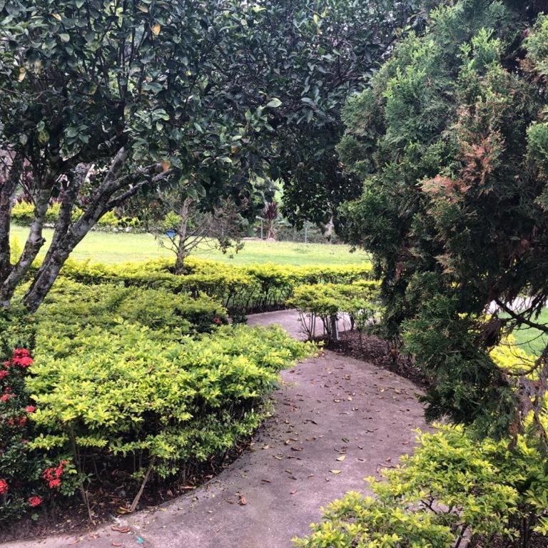 Villa familiar para descanso en La Mesa - Villa - 31