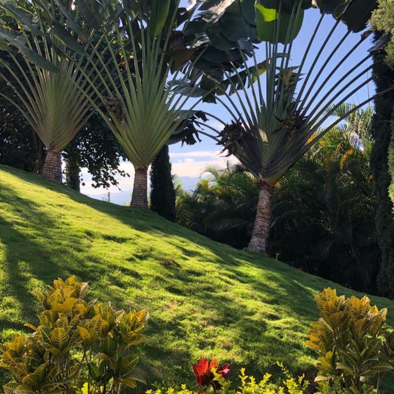 Villa familiar para descanso en La Mesa - Villa - 33