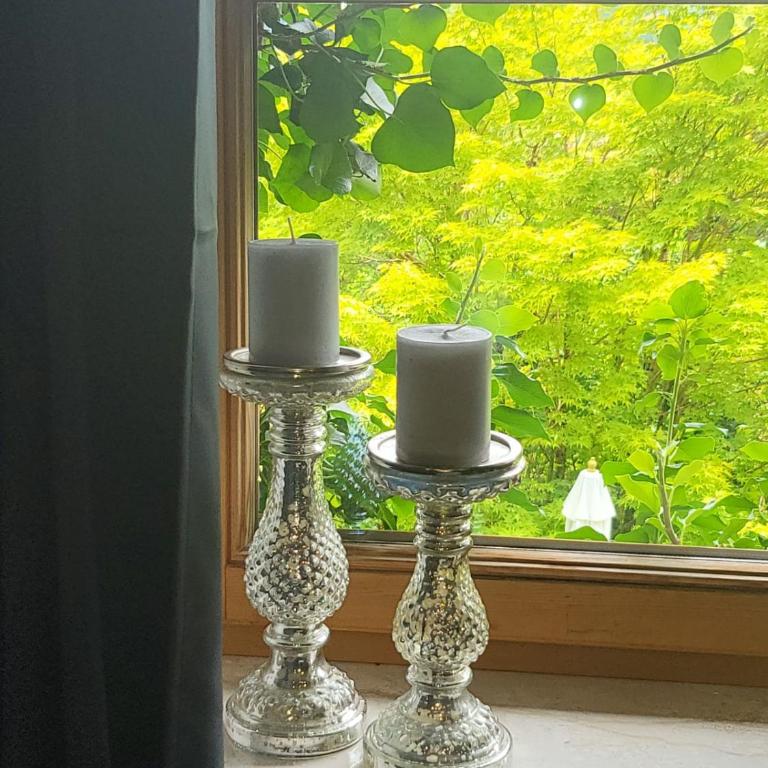 Ferienwohnungen beim Silbergersee - Standard Apartment - 18