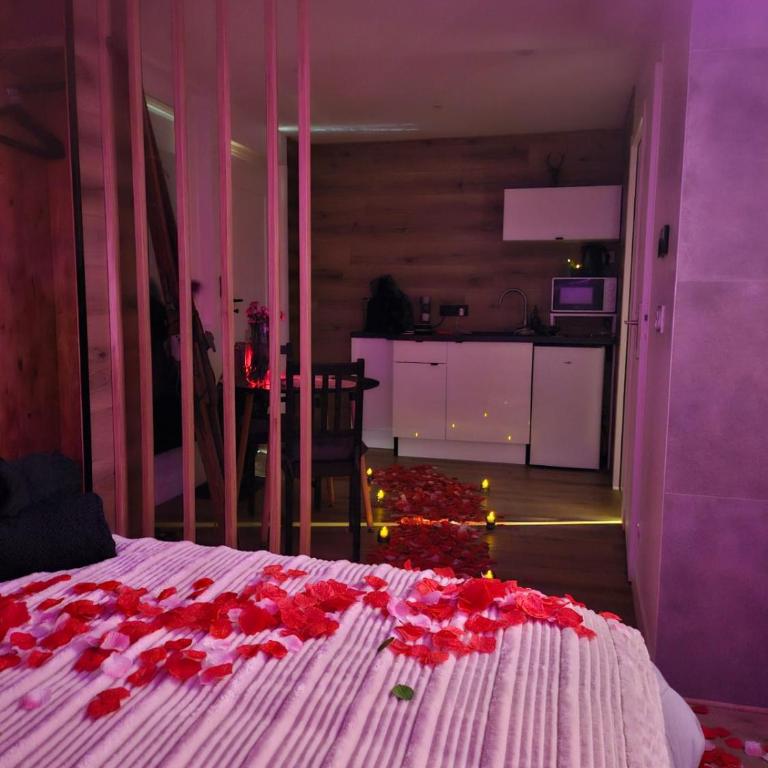 Ecrin des Alpes, Jacuzzi, Netflix, Ambiance chalet - Appartement 1 Chambre - 29