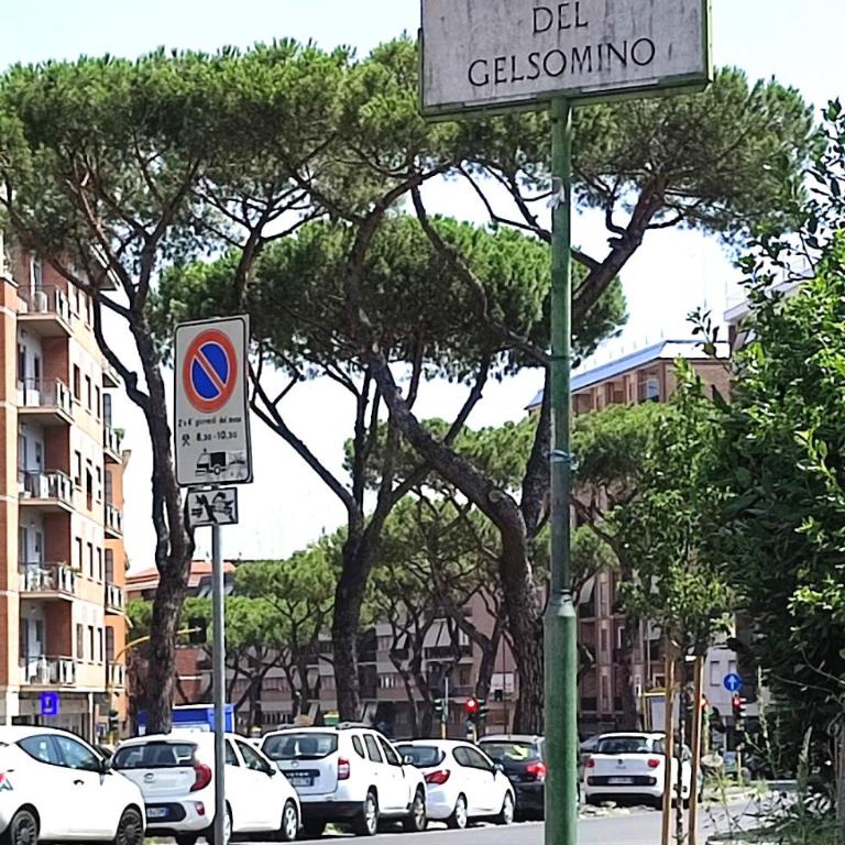San Peter Vatican City quiet and lovely apartment - Appartamento con 2 Camere da Letto - 43