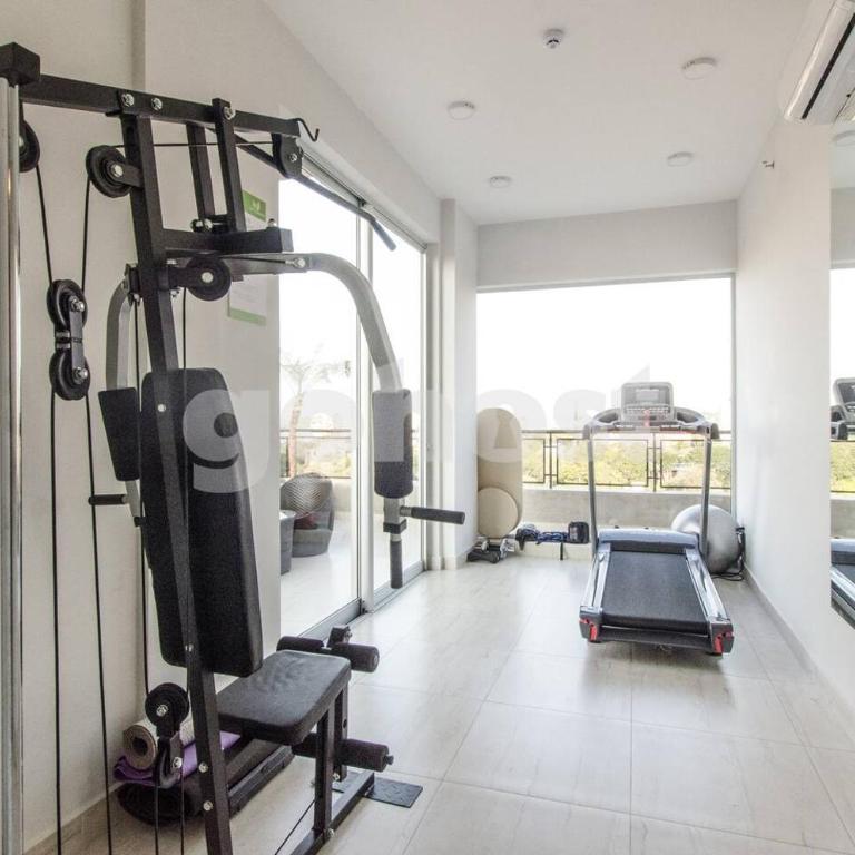 Modern apartment 700m from Shopping Mcal Lopez - Apartamento - Planta baja - 23
