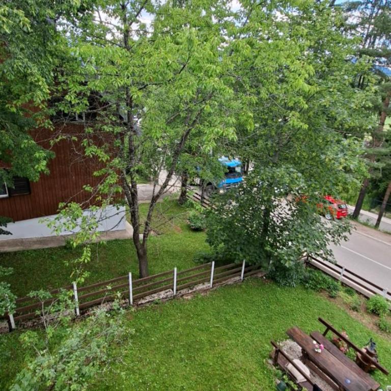 Guest House Milena - Apartment with Terrace - 11