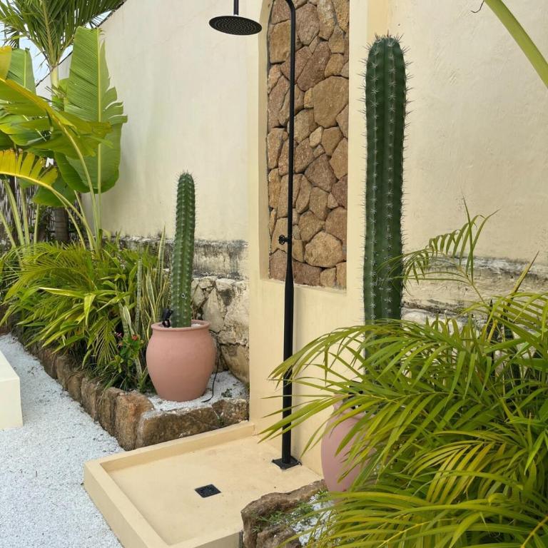 Villa Privada con Piscina - Playas del Atlantico - Villa de 1 dormitorio - 30