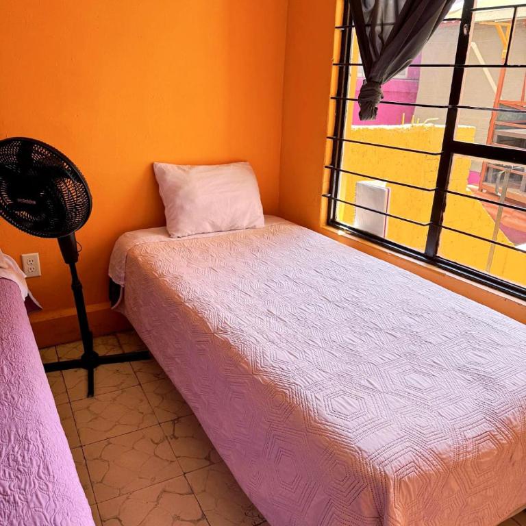 Alo México - Economy Quadruple Room - 7