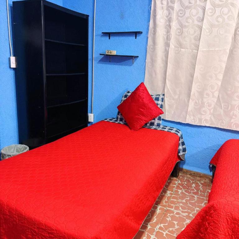 Alo México - Basic Triple Room - 5