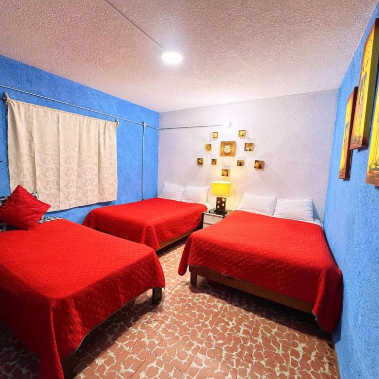 Alo México - Basic Triple Room - 7