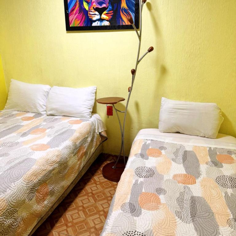 Alo México - Budget Double Room - 5