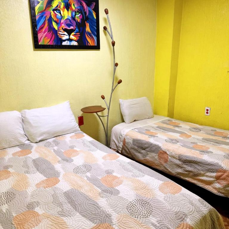 Alo México - Budget Double Room - 6