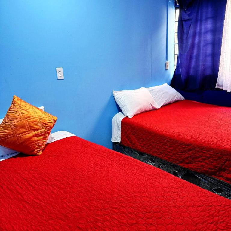 Alo México - Budget Double Room - 5