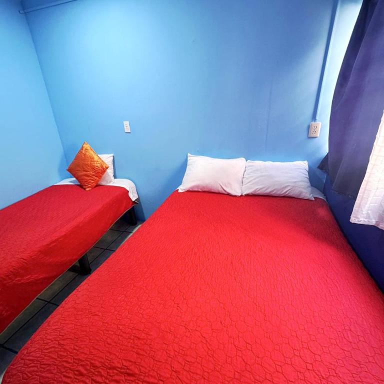 Alo México - Budget Double Room - 6
