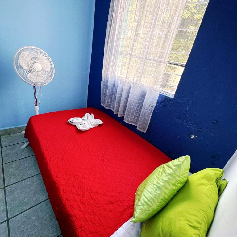 Alo México - Budget Single Room - 7