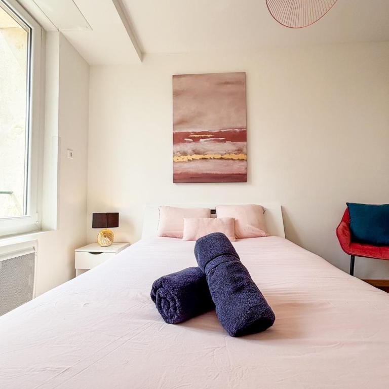 Spacieux appartement 3 chambres cosy centre Amiens - Apartment mit 3 Schlafzimmern - 11