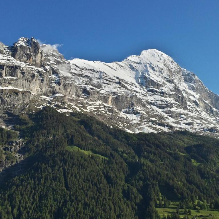 Hotel Tschuggen - Doppelzimmer mit Balkon und Blick auf den Eiger - 16