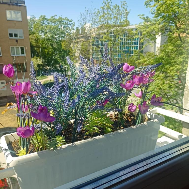 Apartment Amelia - Apartman sa 1 Spavaćom Sobom - 6