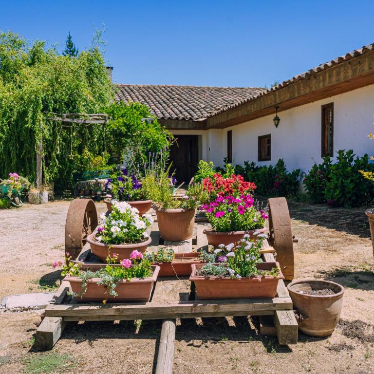 Centro Campestre Pequeño Faisán - Vacation Home - 1