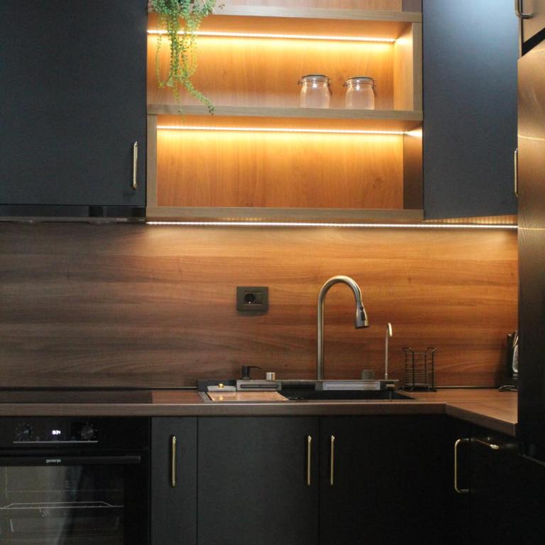 Apartman Vasilije - Apartman sa 1 Spavaćom Sobom - 4