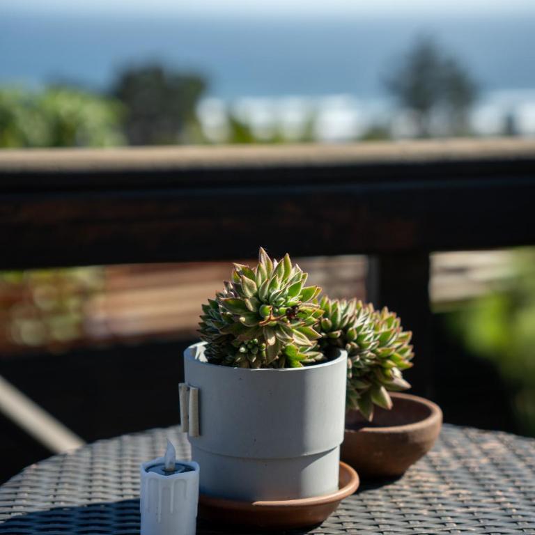 Viento Sur Pichilemu Lodges - King Room with Sea View - 6