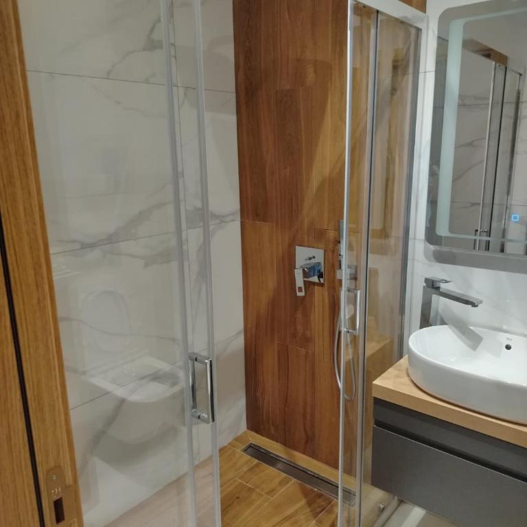 Balkan square 155 - One-Bedroom Apartment - 5