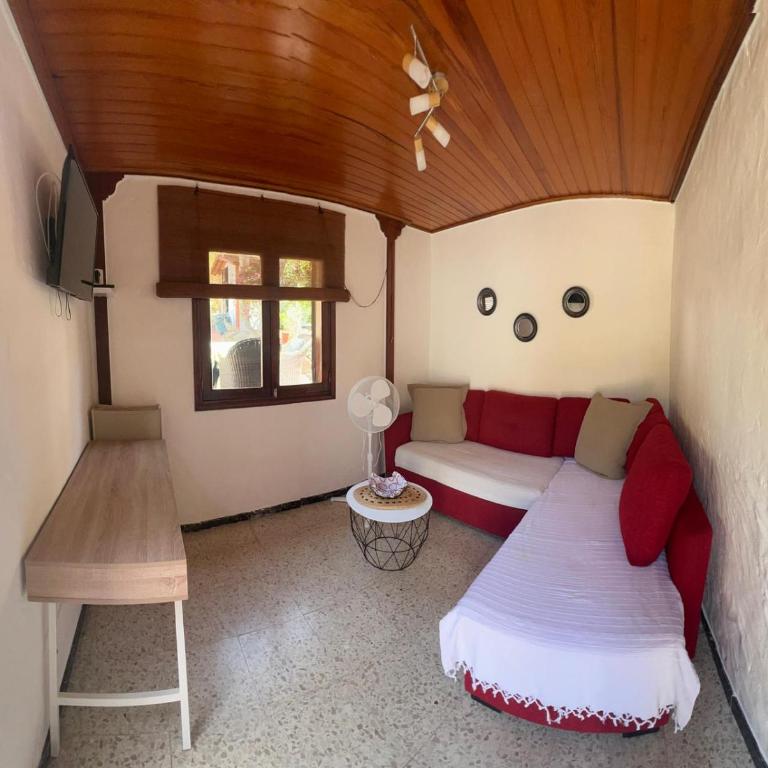 Casa Colonia - Apartamento de 1 dormitorio - 16