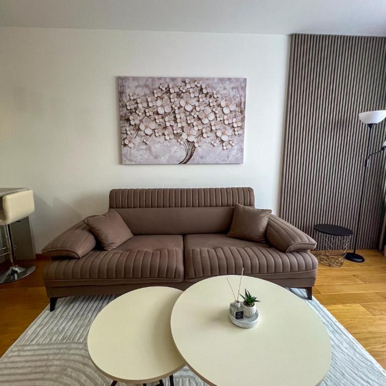 Modern Suites - Apartman sa 2 Spavaće Sobe - 24