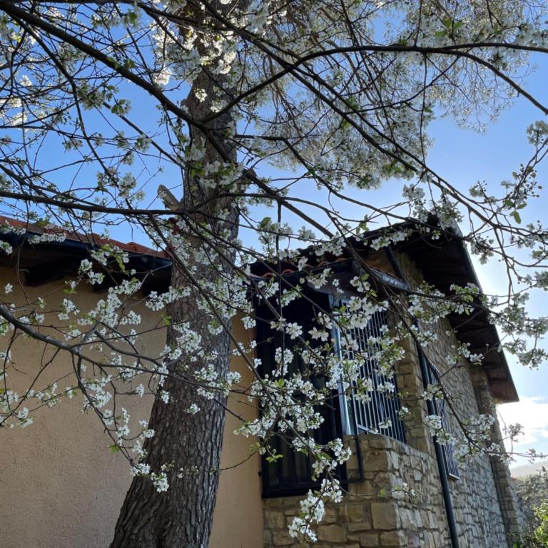 Appartamento in Villa a Pinamare - Villa con 2 Camere da Letto - 44