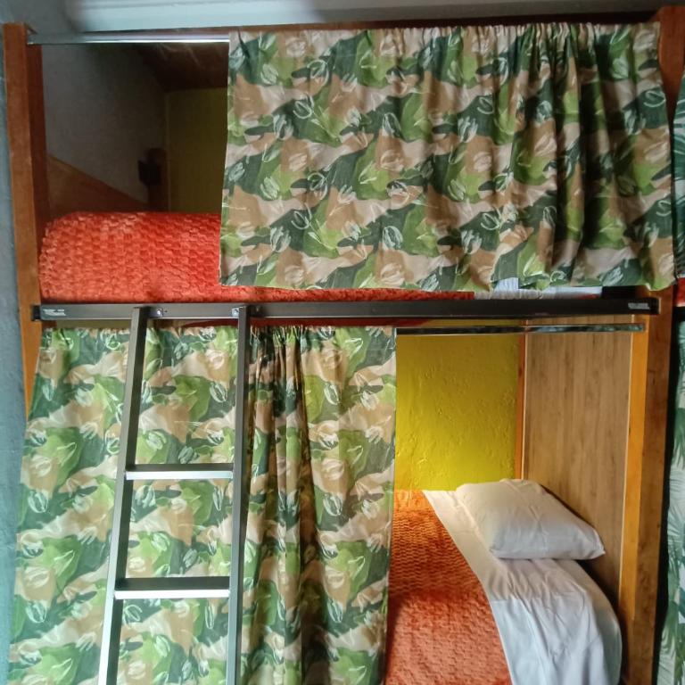 Casa Tuna - Bed in 6-Bed Mixed Dormitory Room - 2