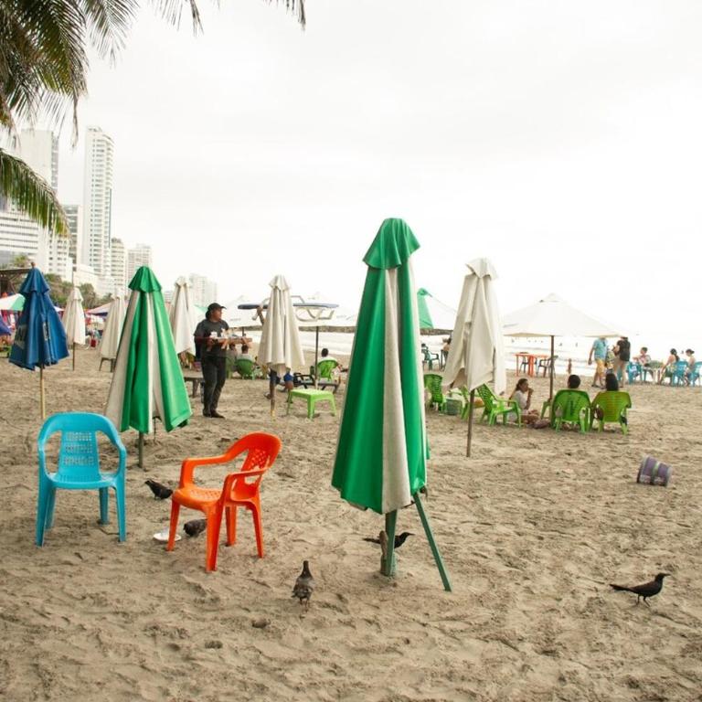 Serene & Comfy Retreat 2min to Beach Parking - Apartamento de 2 dormitorios - 10