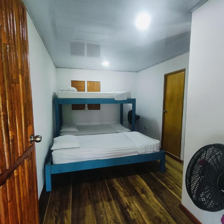 Urantia Beach Hostel & Surf Camp - Cama individual en habitación compartida - 2